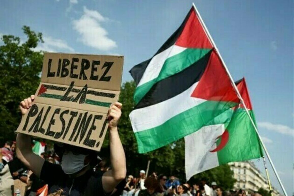France to Recognize Palestinian State, Angering Israeli Regime