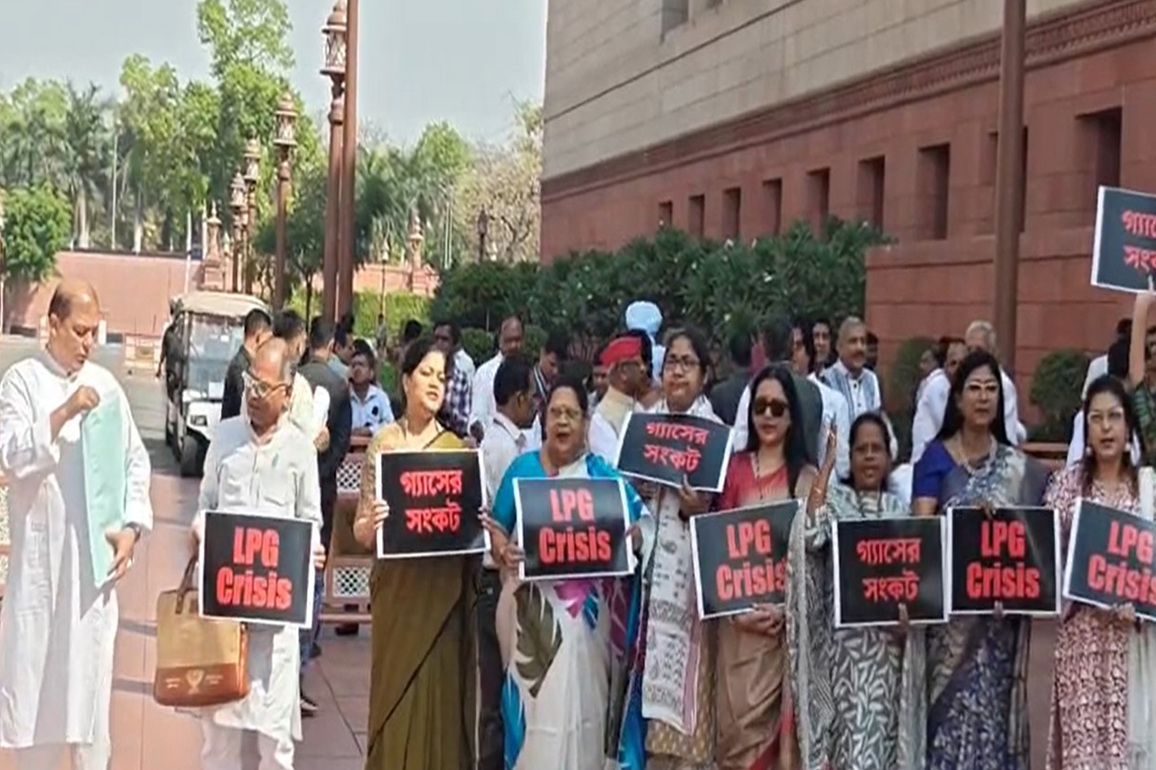 Parliament Budget Session: TMC and other opposition MPs protest against centre over shortage of LPG cylinders