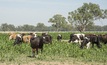 Innovative technology to help feed livestock