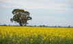  Agriculture Victoria is seeking expressions of interest for a mentoring program. Picture Mark Saunders.