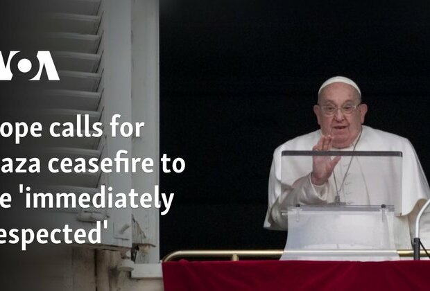 Pope calls for Gaza ceasefire to be &#039;immediately respected&#039;