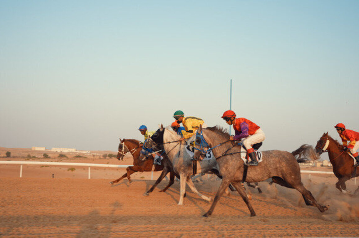 'Al Habeeb' wins first race at Purebred Arabian Horse Race in Al Dhafra