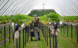 Future of horticulture takes centre stage at anniversary event