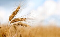 World food production mapped since 2000: see what's happened as global temperatures have continued to rise