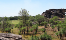   Alligator River is described as one of the top three uranium provinces in the world