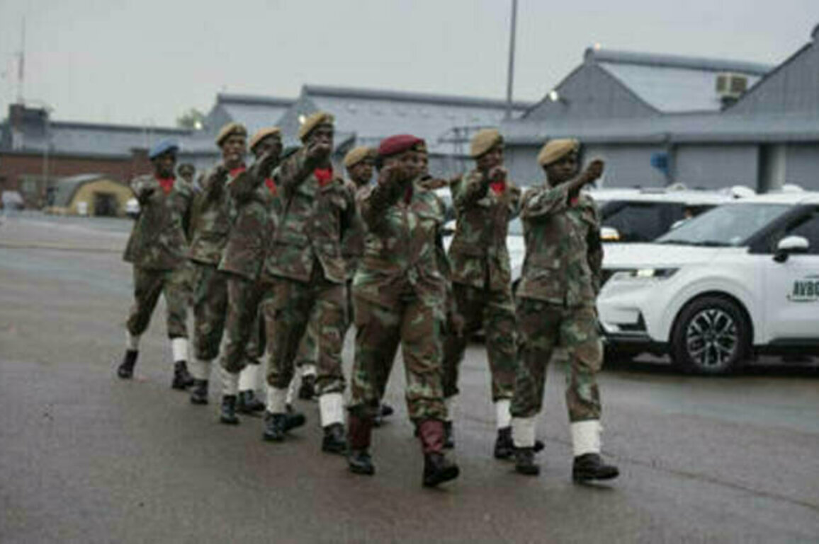 Peacekeepers leaving DR Congo - media