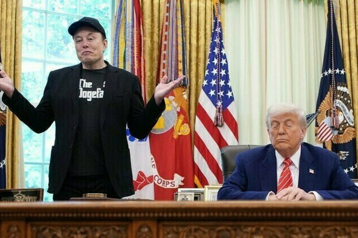 Trump and Musk go from hugs to insults