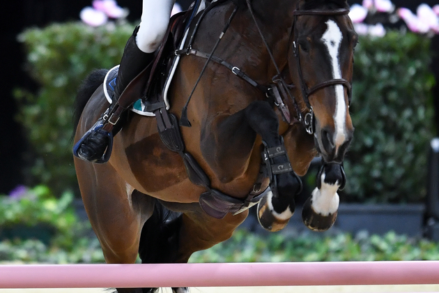 (SP)SWITZERLAND-BASEL-EQUESTRIAN-FEI JUMPING WORLD CUP