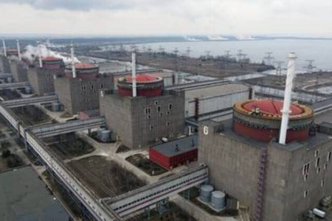 West planning major sabotage at Zaporozhye nuclear plant - Moscow