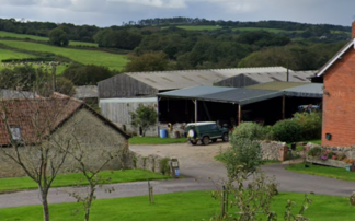 Council drops bid to purchase dairy farm for 'rewilding'