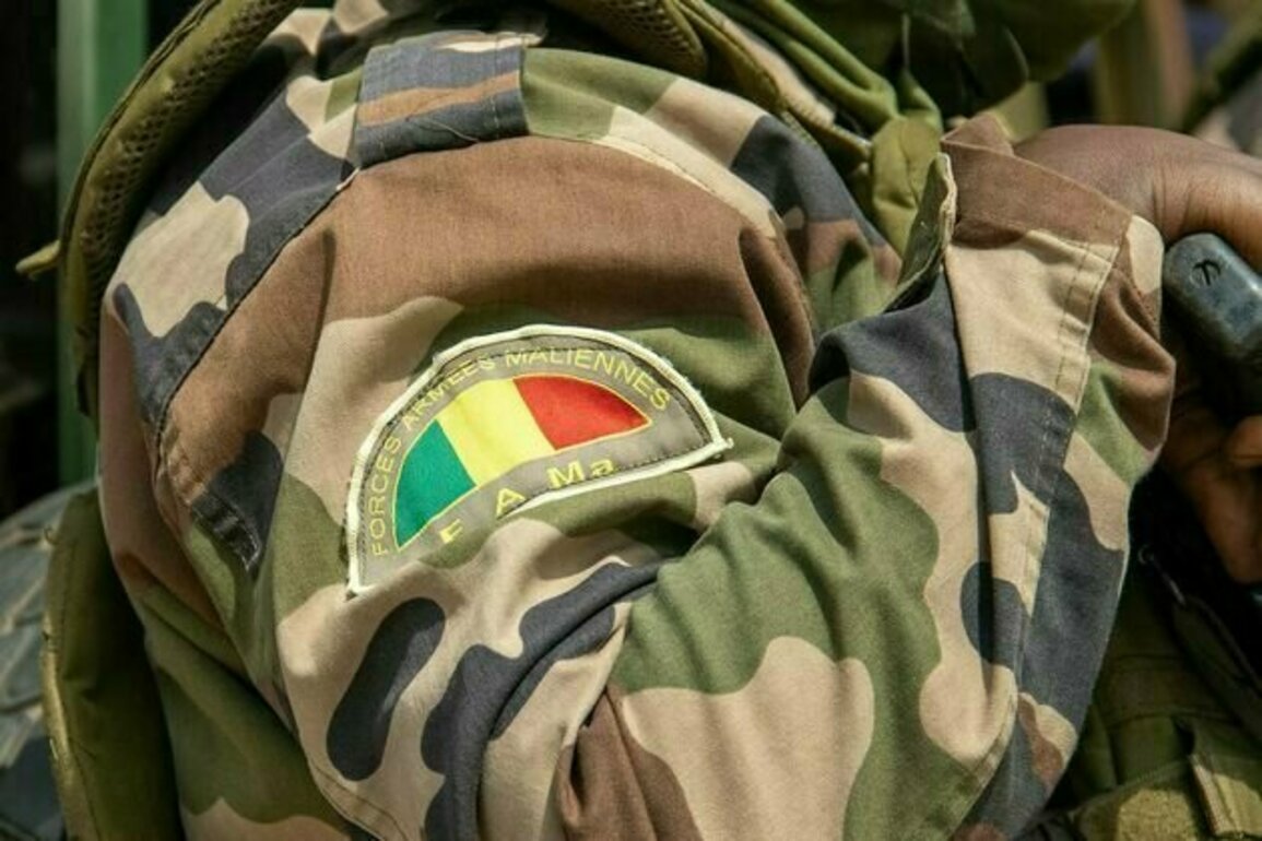 Attaques coordonnees dans l'Ouest du Mali : une nouvelle phase dans l'expansion du djihadisme ?