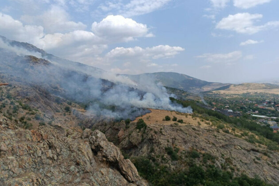 EU Wildfires Double in 2025: Bulgaria Among the Hardest Hit