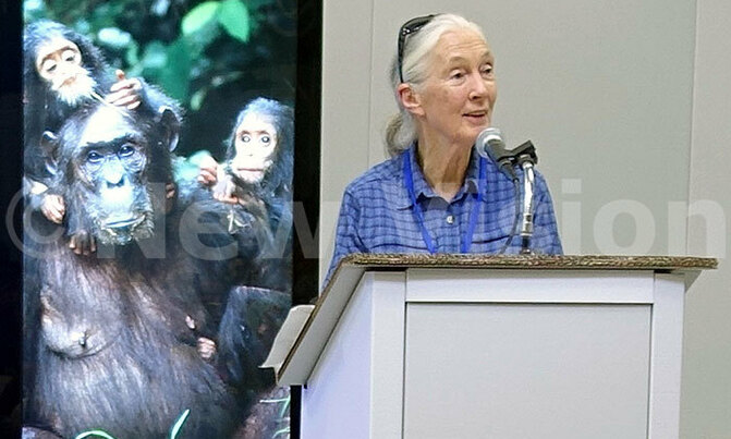 Jane Goodall embraces modern technology to save planet Jane Goodall embraces modern technology to save planet