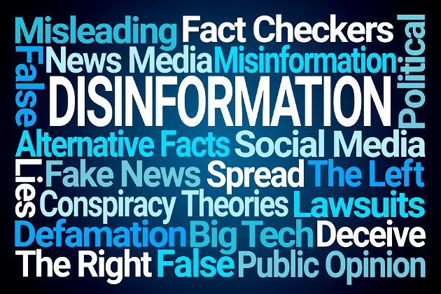 Disinformation is a 'global scourge', Ireland's Media Minister says