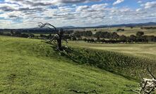 Langi Logan in Victoria