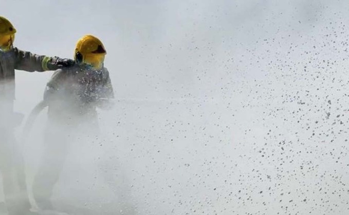 Firefighters battle to save 40 sheep from farm blaze