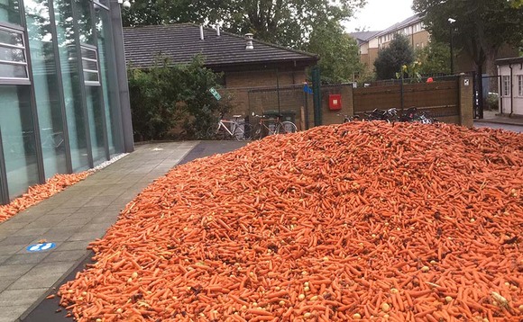 Artist dumps 29 tonnes of carrots to highlight tensions between rural areas and cities