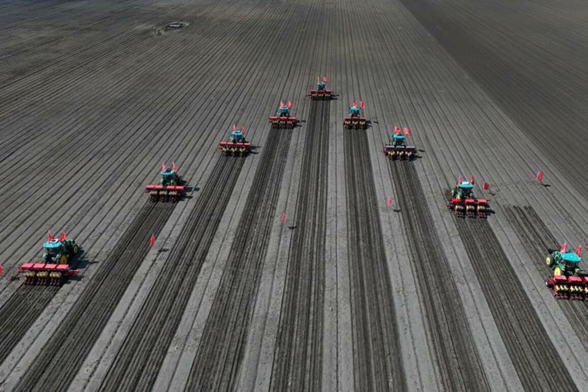 GLOBALink | Spring sowing in full swing in NE China's Heilongjiang