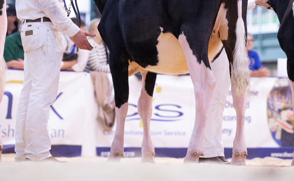 All Breeds All Britain Calf Show Holstein judges announced   