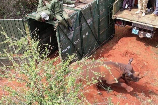 Worlds largest rhino sanctuary opens (PHOTO/VIDEO)
