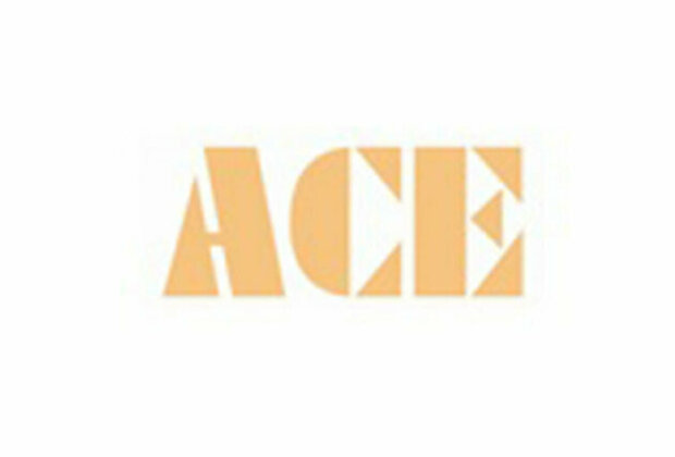 ACE Posts Robust Q3 FY25 - Total Income Up by 16.6 Percent YoY with Expanded Margins