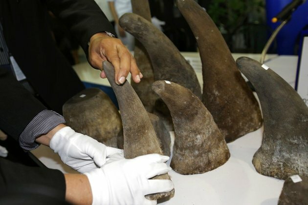 Two men in court after caught with 167 rhino horns