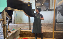 Young Farmer Focus - Henry Morris: "When I get home from school I can't wait to change into my overalls" 