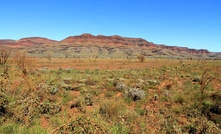  Mulga Downs station, WA