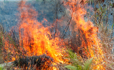 Firms affected by Cairngorms wildfire to share £3m funding from Scottish Government