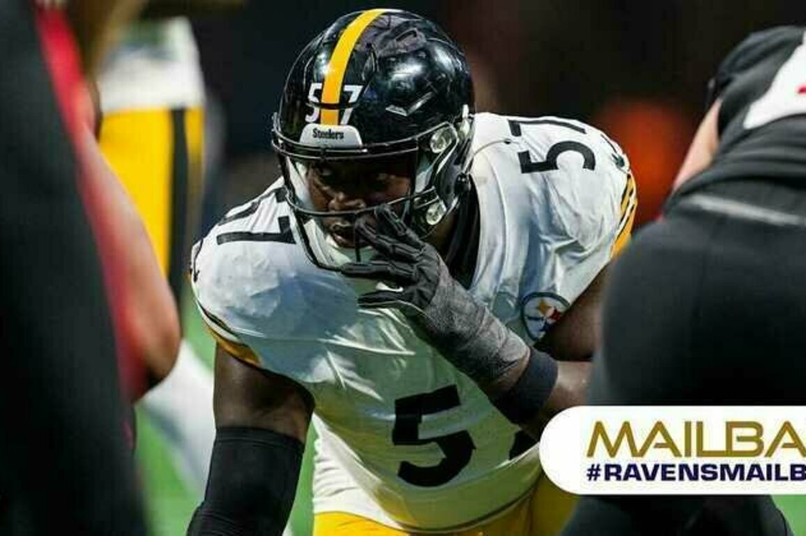 Mailbag: Will the Ravens Sign a Defensive Tackle