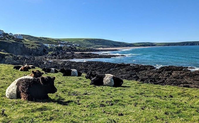 #FarmingCAN - Welcoming holidaymakers to curious farmers at tourist hotspot Morte Point