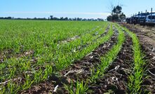 Experts say a considered approach is required when it comes to farm management and soil carbon.