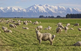 Fresh mindset meets traditional values on Taranaki farm