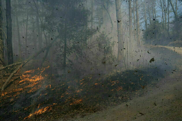 More evacuations as wildfires spread in U.S. Carolinas