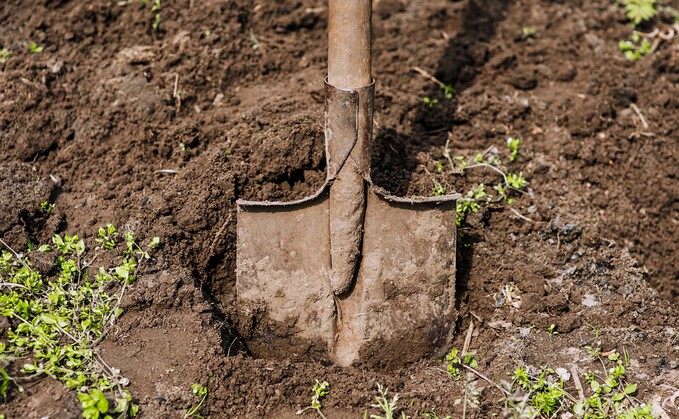 Soil Association: 7 ways better soil means better business