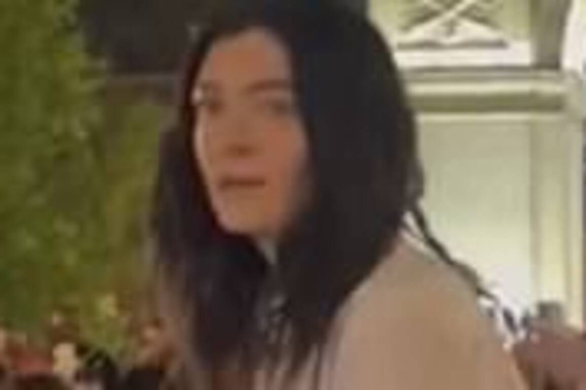 Shocking moment New Zealand singer Lorde is caught up in police incident in New York