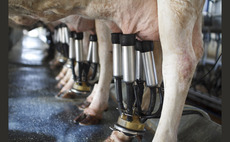 OPINION: As the deadline looms, all eyes are on dairy contracts