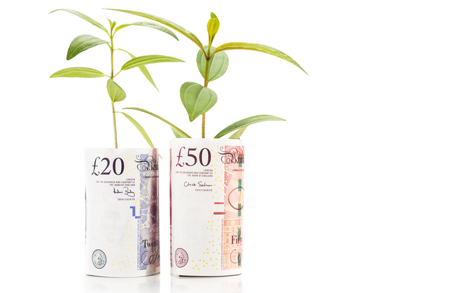 Could offering lower interest rates to green projects help keep net zero on track?