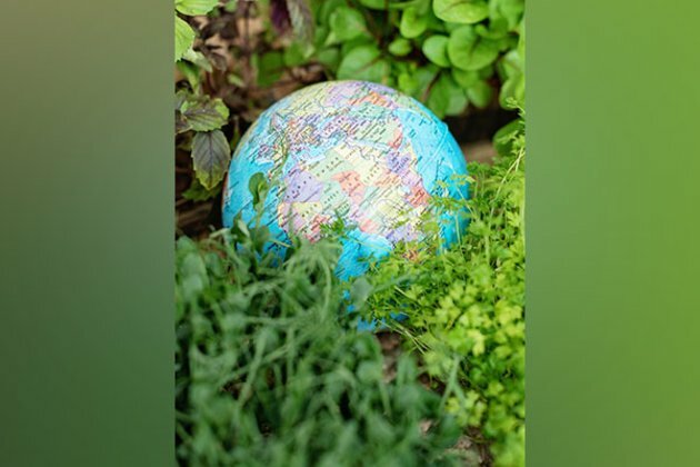 Here's how greenhouse gas emissions can be reduced