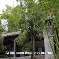GLOBALink | A millennium of memory from the home of kung fu: Shaolin steles go global