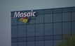 Mosaic divulga resultado financeiro com aumento da meta para operações no Brasil