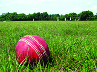 Jewson partners up with Natwest Cricketforce