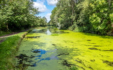 Environment Agency: Just 14.3 per cent of England's surface waters achieve 'good' ecological status