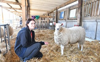 Young Farmer Focus - Dana Bradley-Allen: "I'm looking forward to making my mark as a shepherdess"