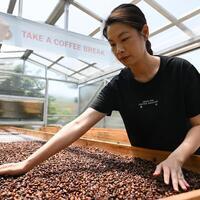 Economy | Complete coffee industrial chain thrives in S China's Jiangmen