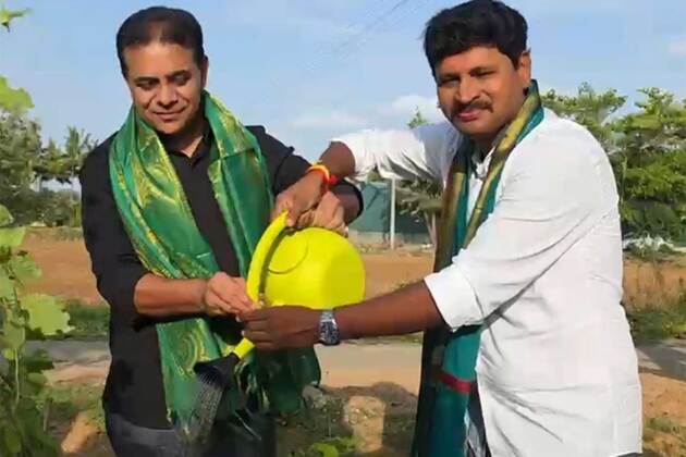 Maharashtra: Green India Challenge launches 9th edition, Godavari Basin restoration mission to mark KTR's 50th birthday