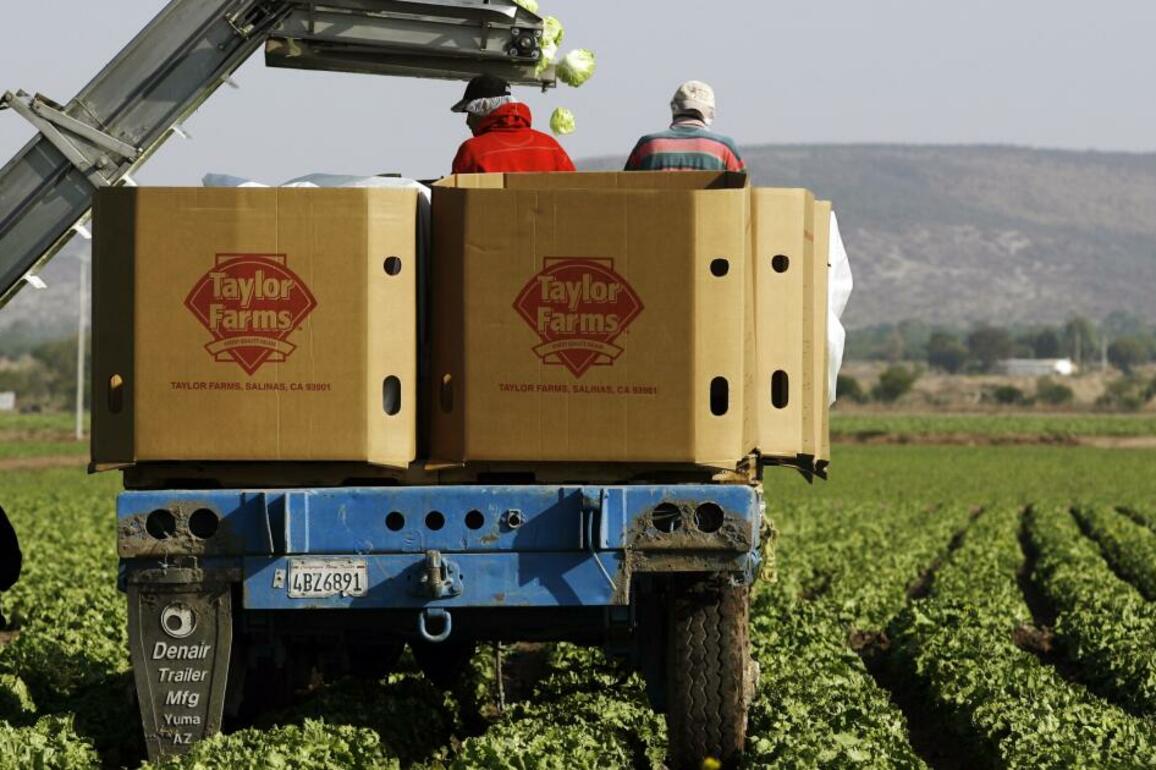 Salinas produce supplier accused of causing E. coli outbreak