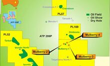 Partners claim success with Mulberry drilling
