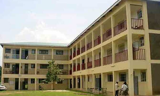 Mob kills university student in Mbale Mob kills university student in Mbale