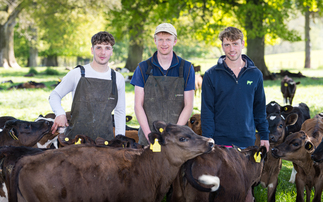 Arable farm converts to dairy production